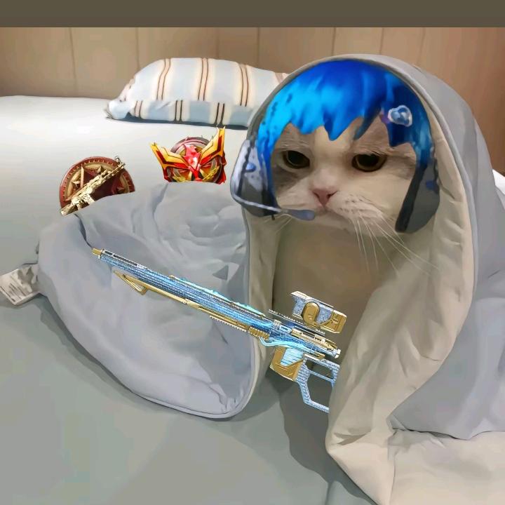 CODM——Mr.Lee ᰔᩚ 👦