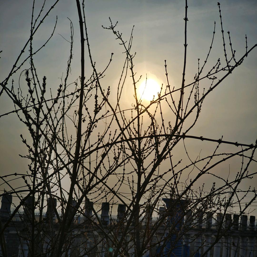 七言来了（努力版）