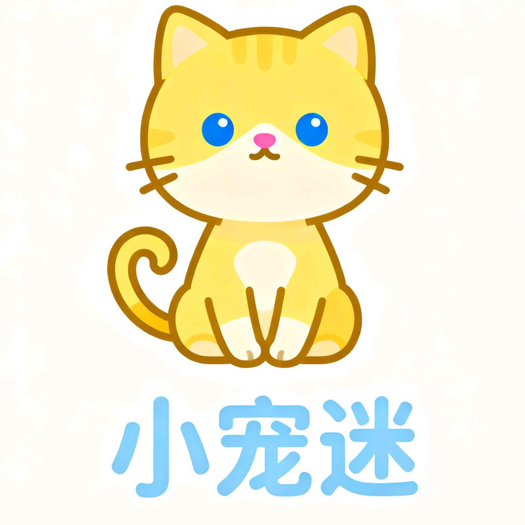 美好的生活