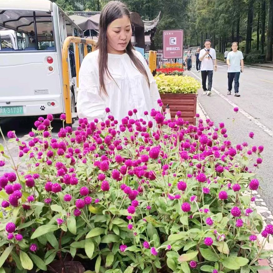 重新开始我新的人生。