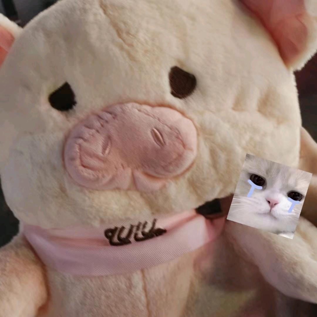 三若有你伍