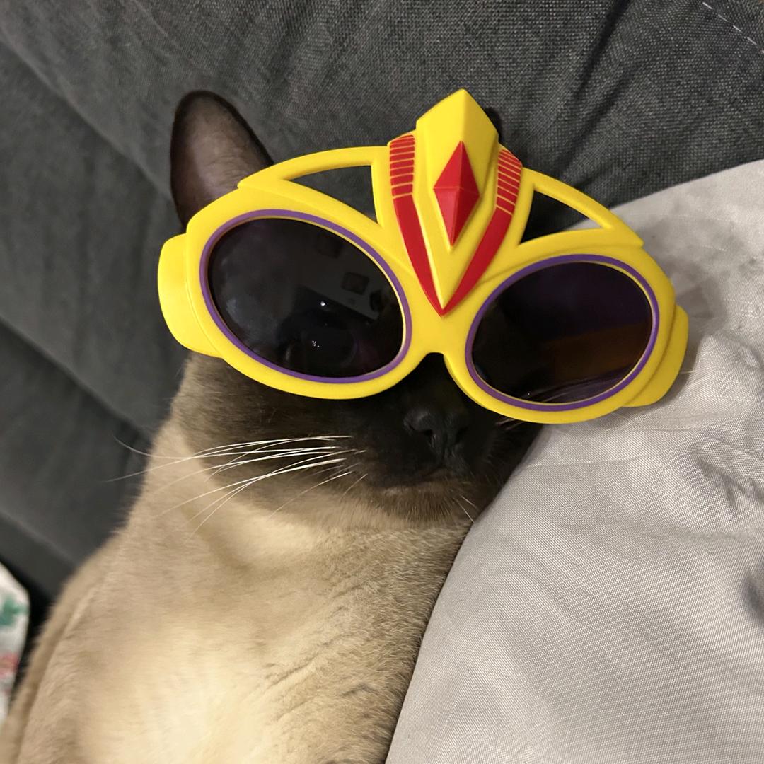 蛋黄超人不会飞