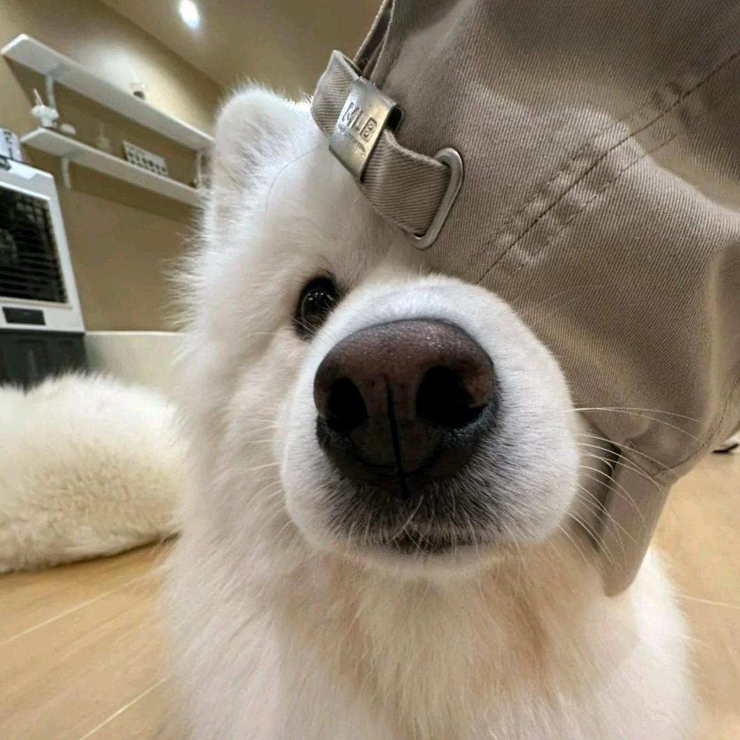 别再难过了