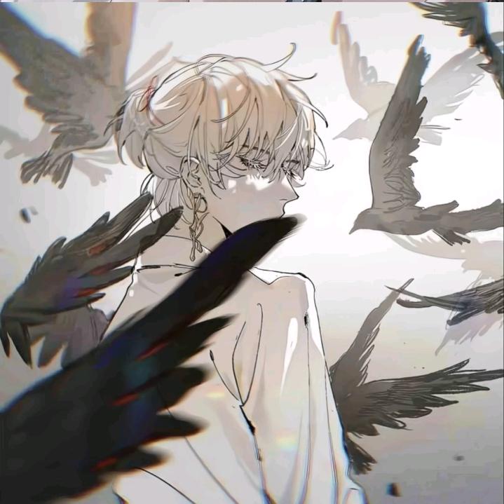 白鸽