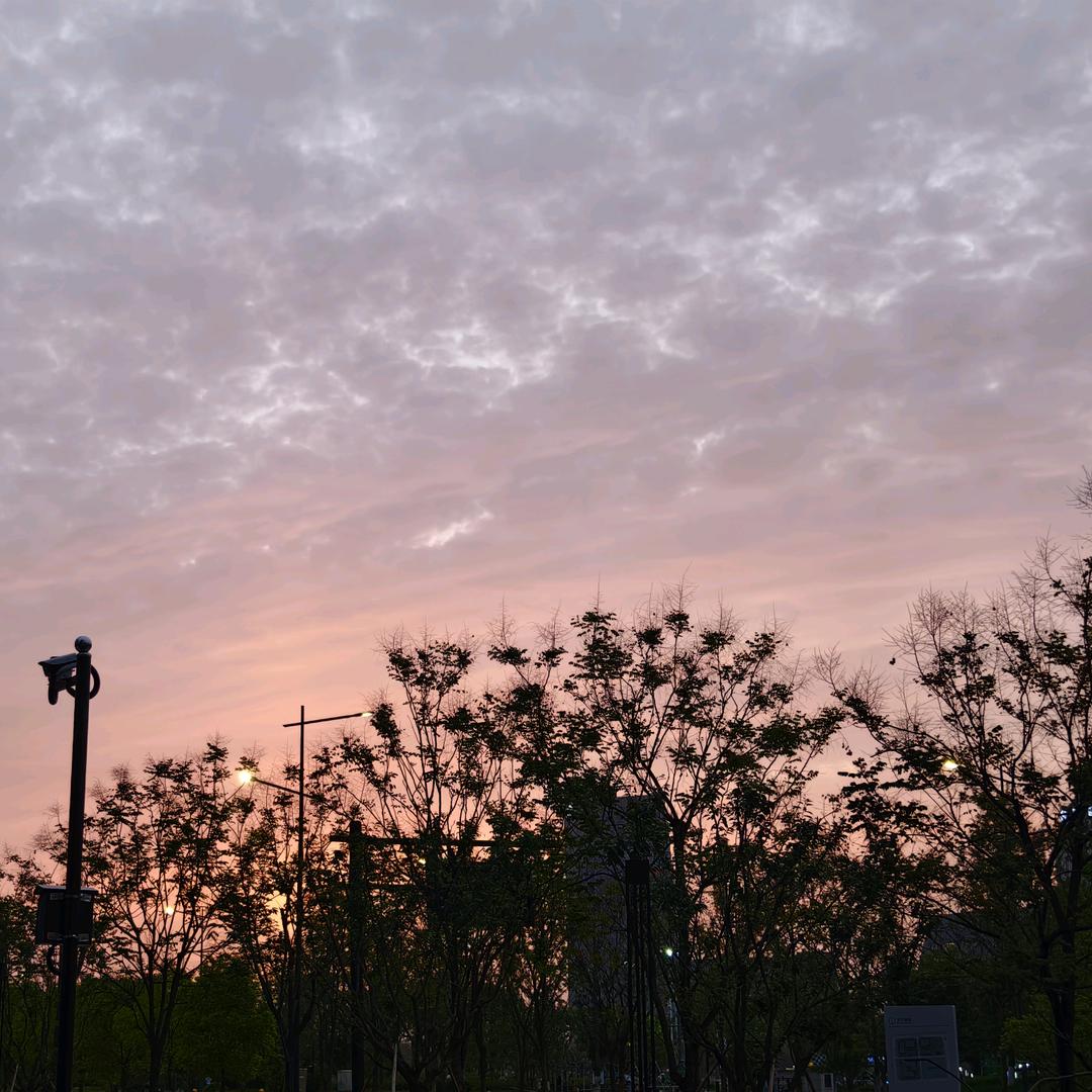 不吃炸鸡