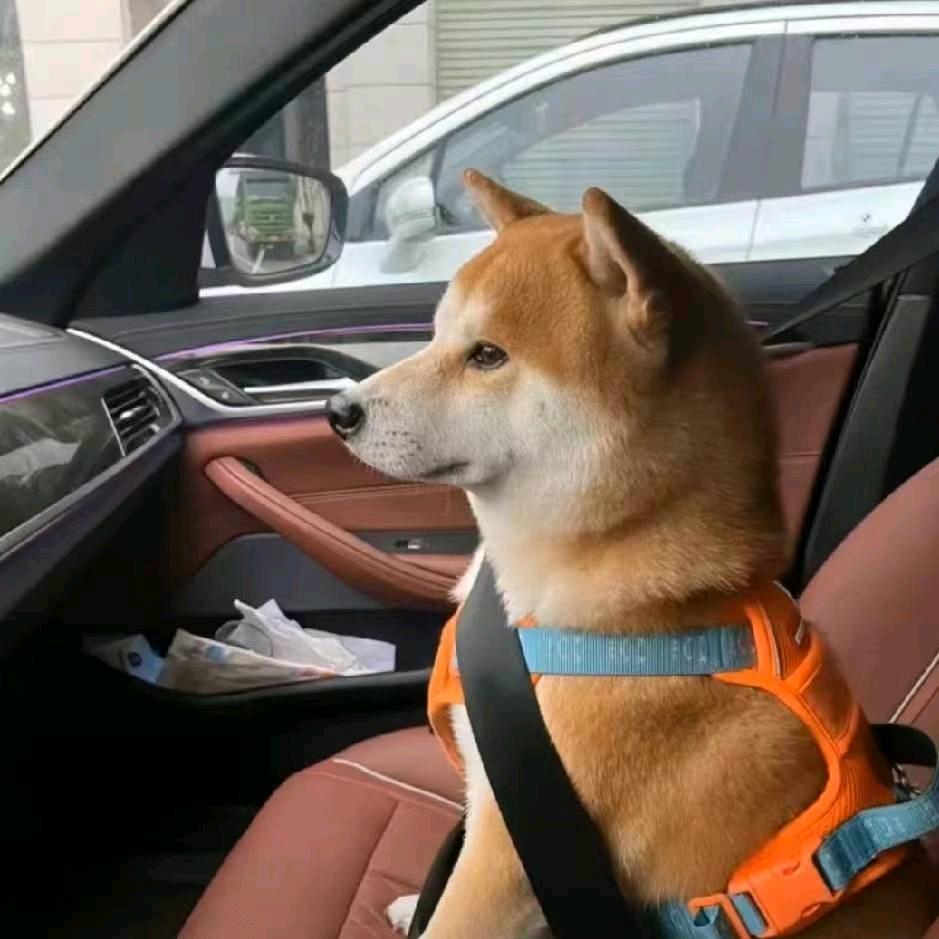 Absolute