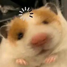 万里长风千川白马