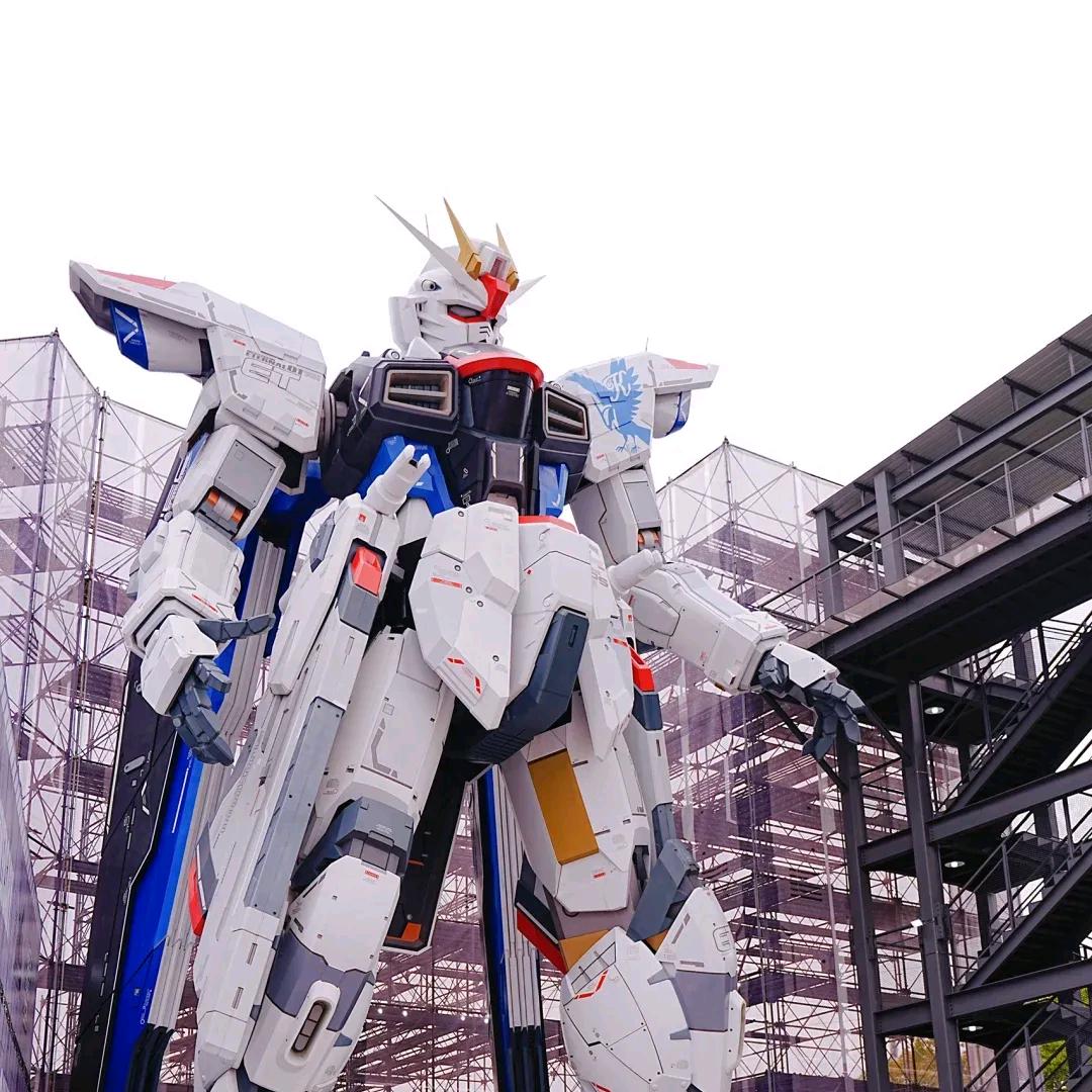 自由模玩工作室