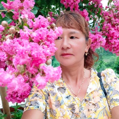 罗三姐，忘记过去