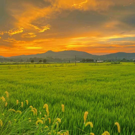 辇洹服饰配件专营店8号直播