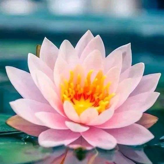 ～～願時光靜好～～