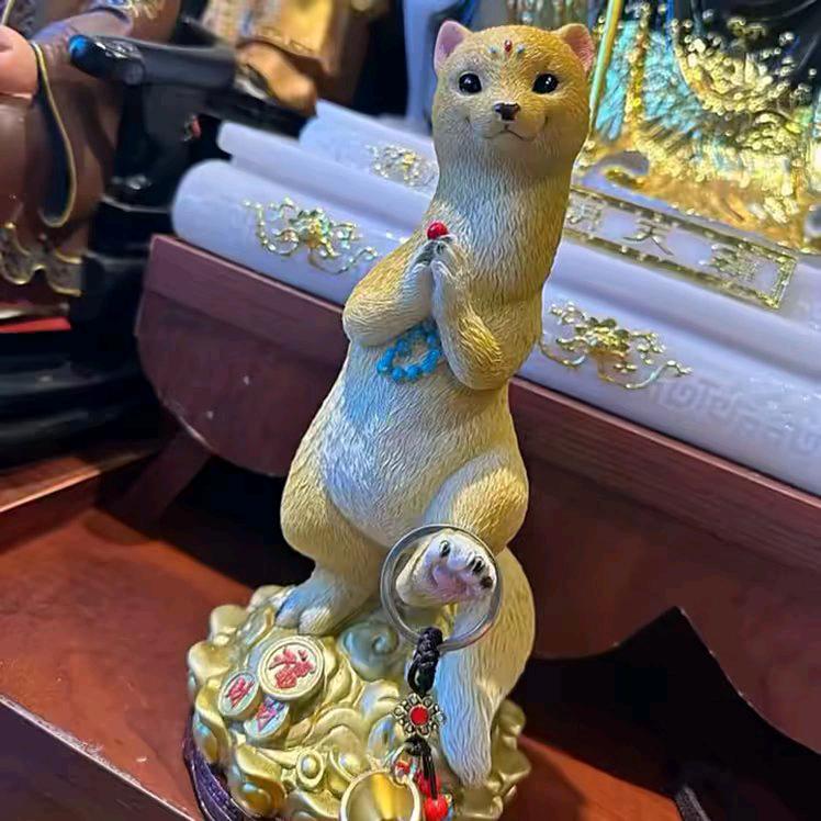 抖音帅哥用户