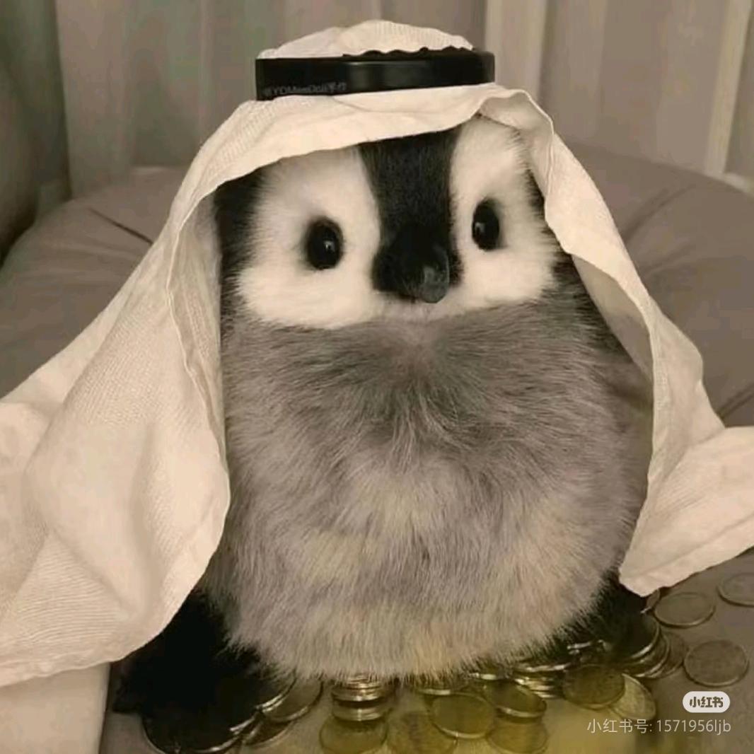 红豆豆坊あ