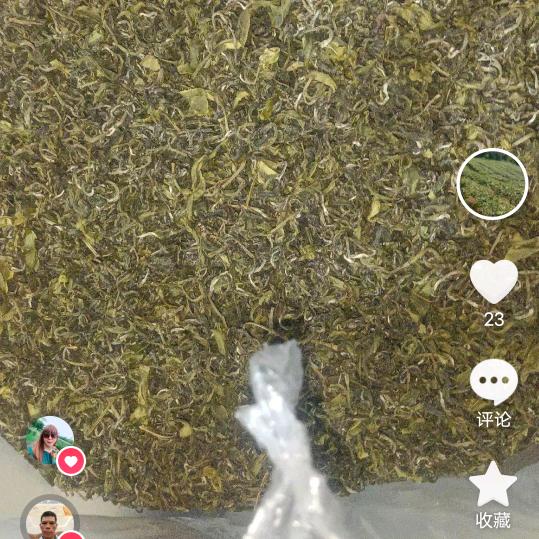龙窝茶叶