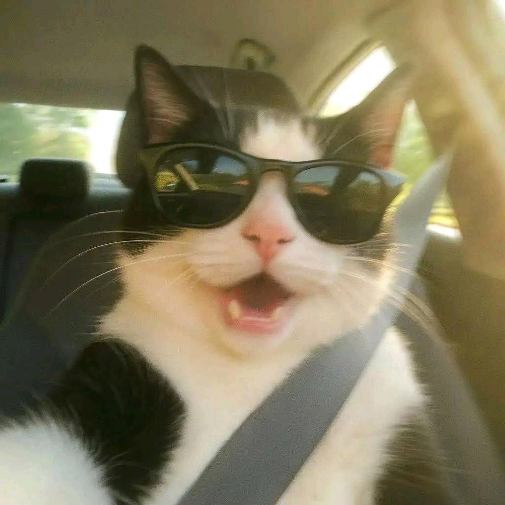 公考小鹿一起进部