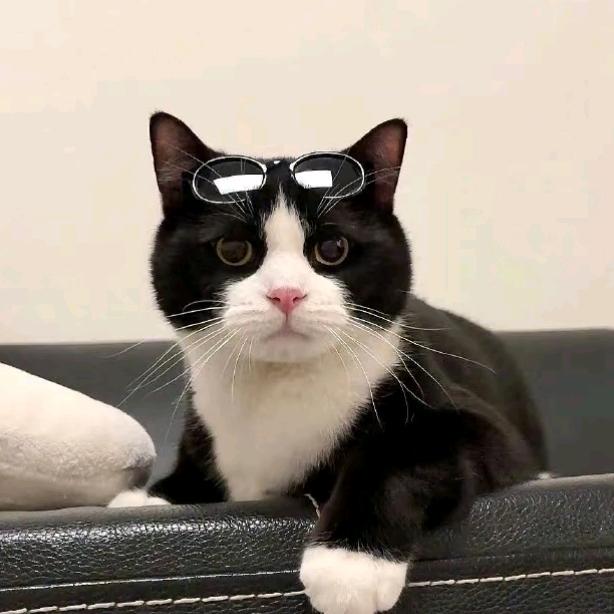 Kat😉