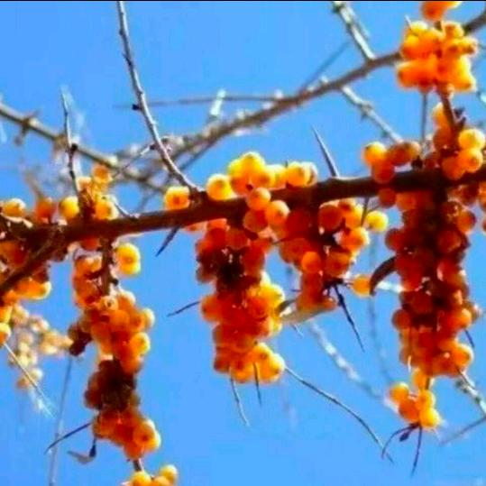 那曾经 的错💗