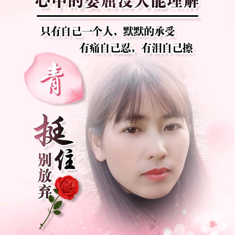 单只蝴蝶