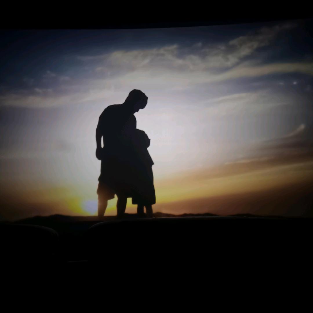 西红柿帮你分析