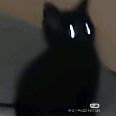 。。。。