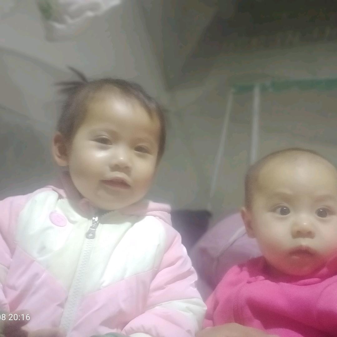 宸颖羽稳上海博杨门窗