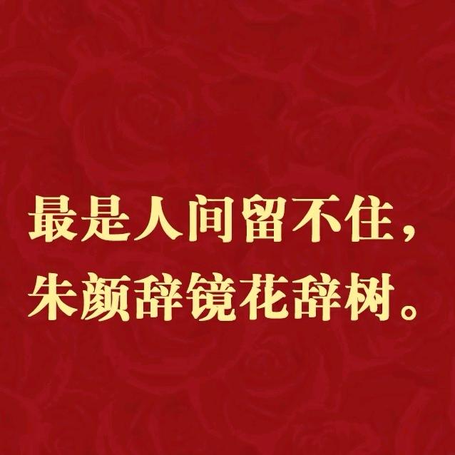 愿你