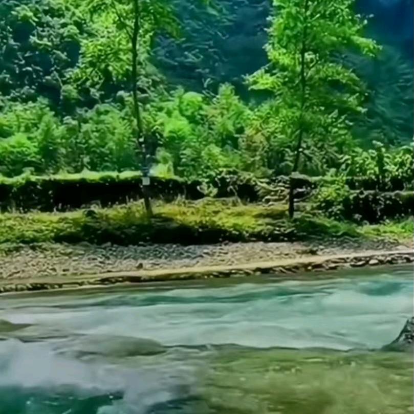 靑梧追剧
