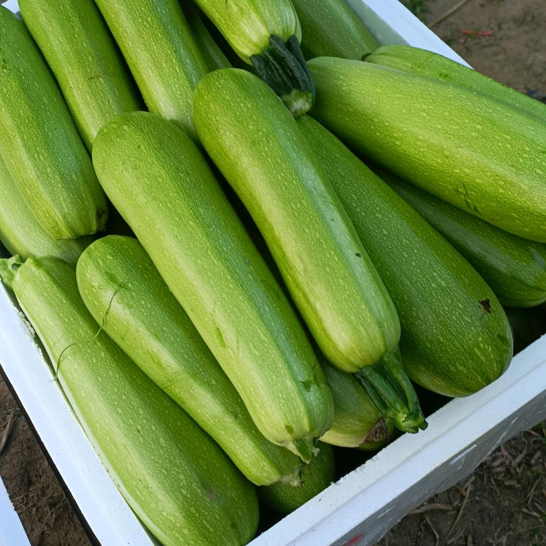 呃呃呃呃的的安得害怕。。哦啦八大巴巴爸/