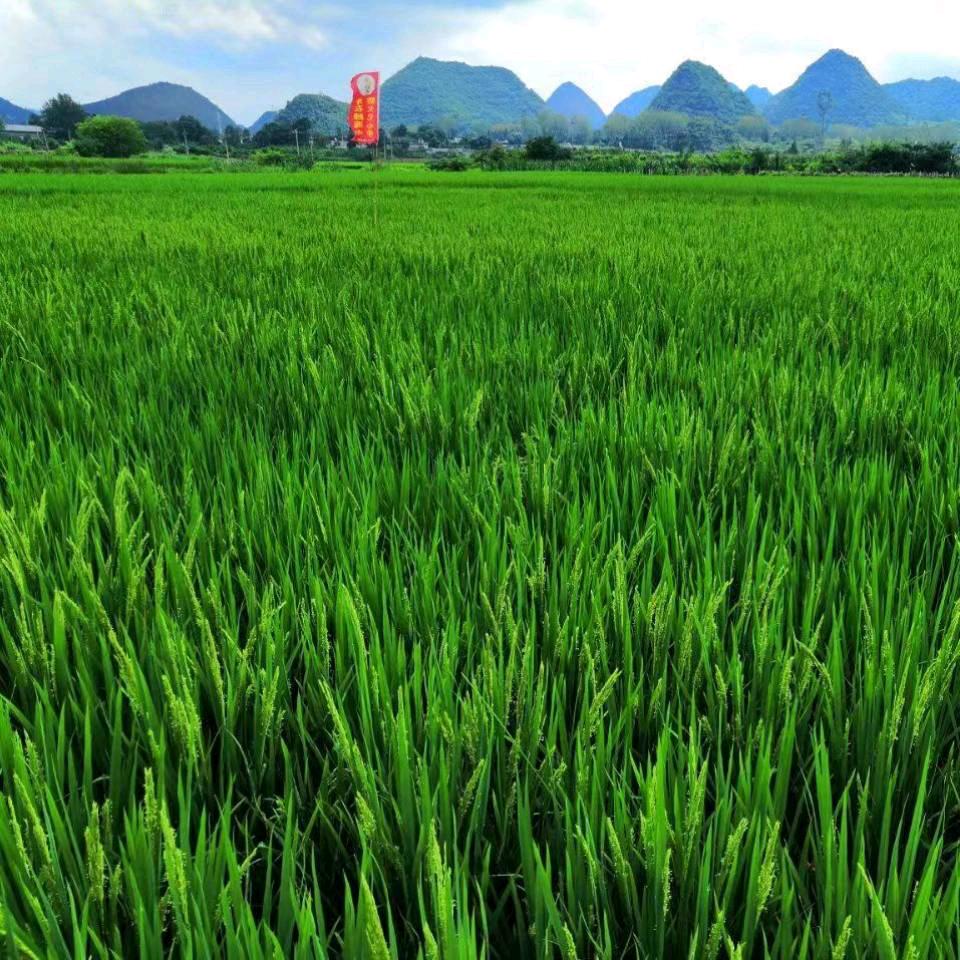 一个刘老四19038066837