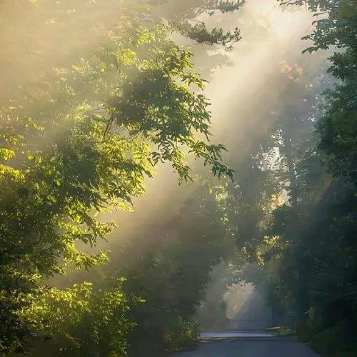 一木林时尚衣橱时尚衣橱宠粉号