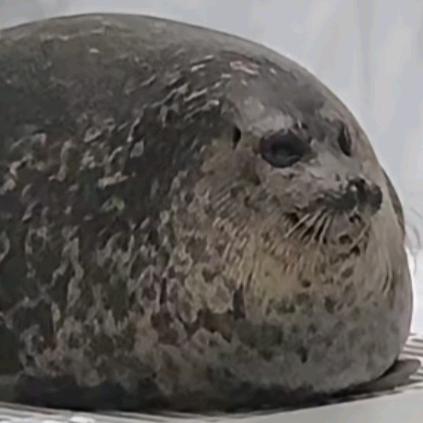 一个人也可以很坚强的