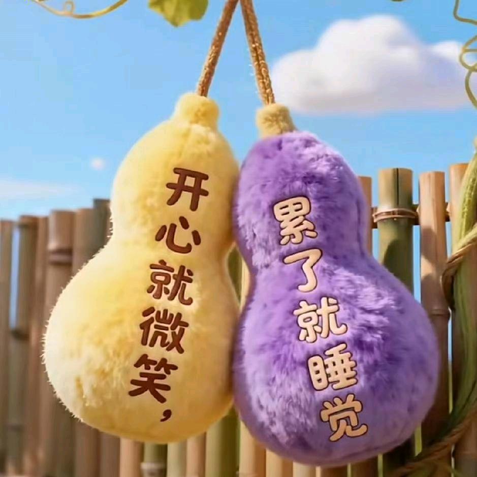 梅梅