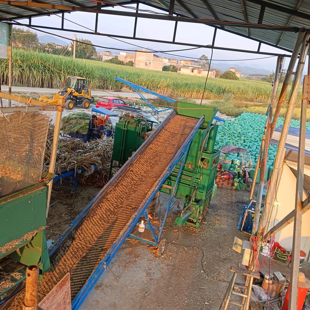 广西创世鸿甘蔗分布式机收部