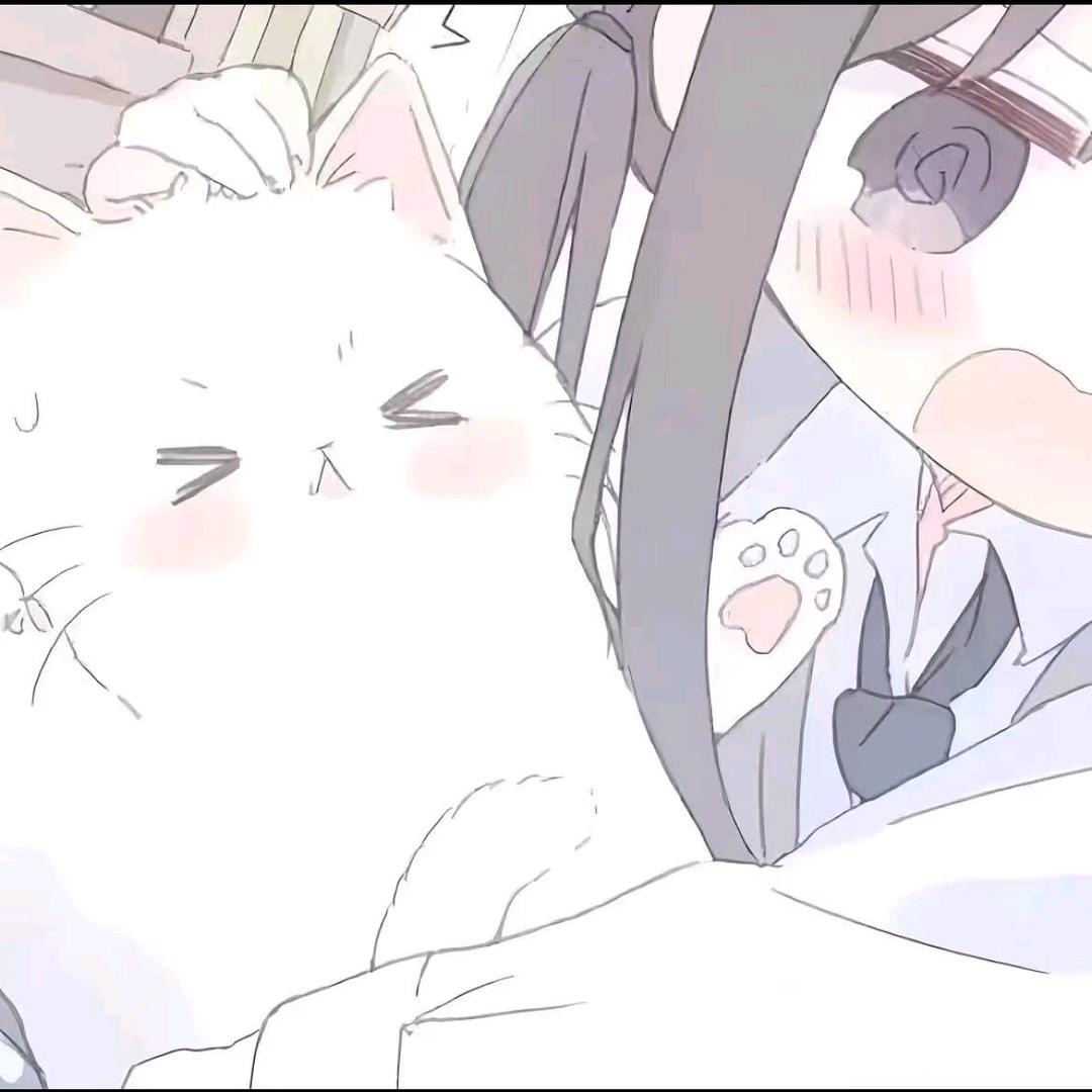 清雨oo