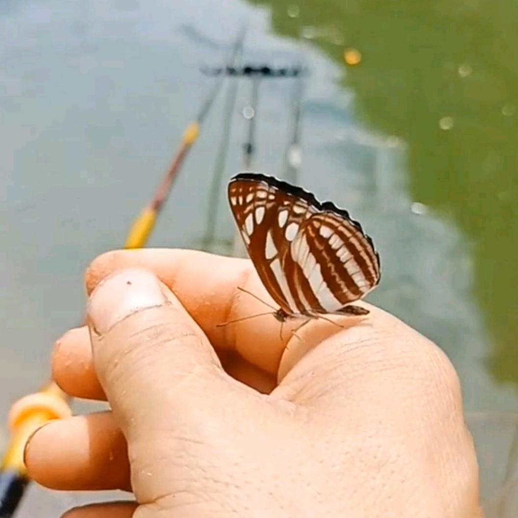 陌尘