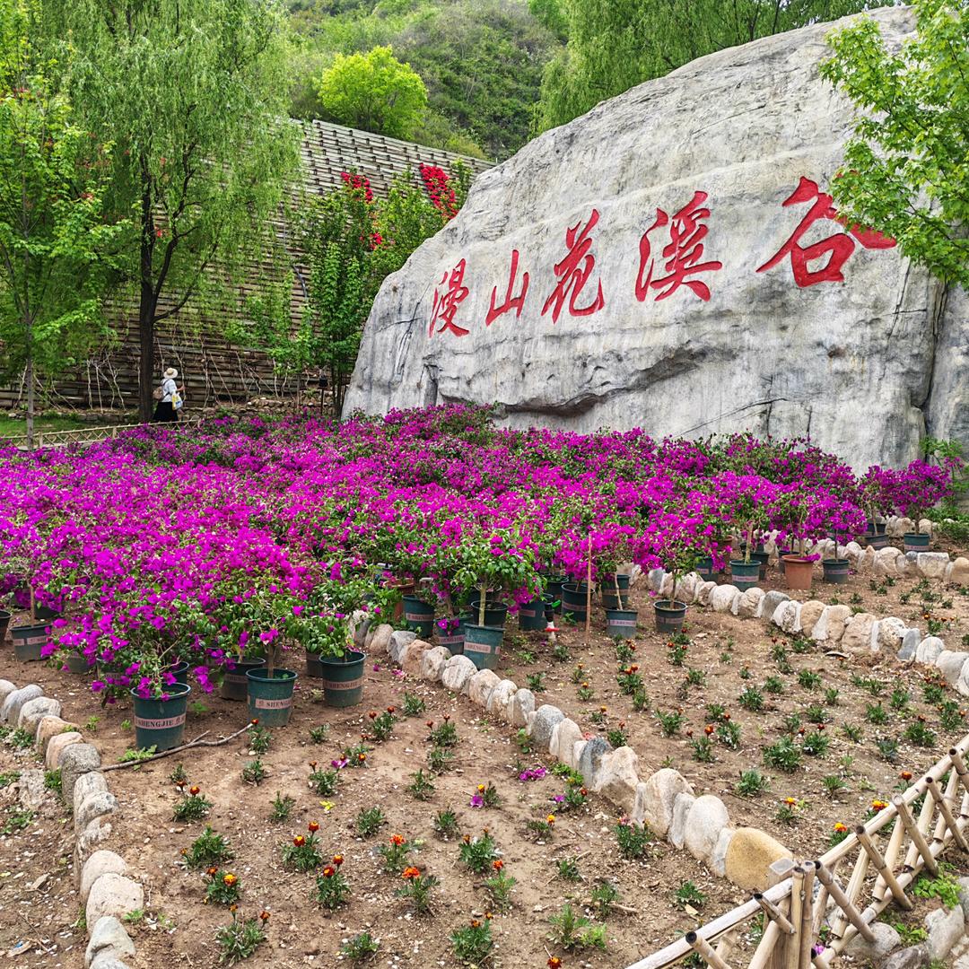中国🇨🇳～小伙