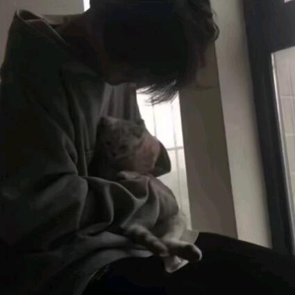 风吹誓言、