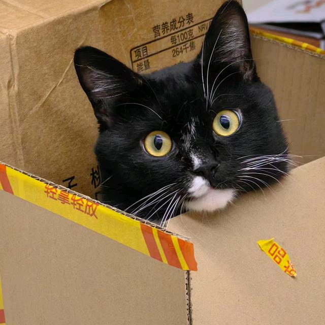 我睡觉的时候不困