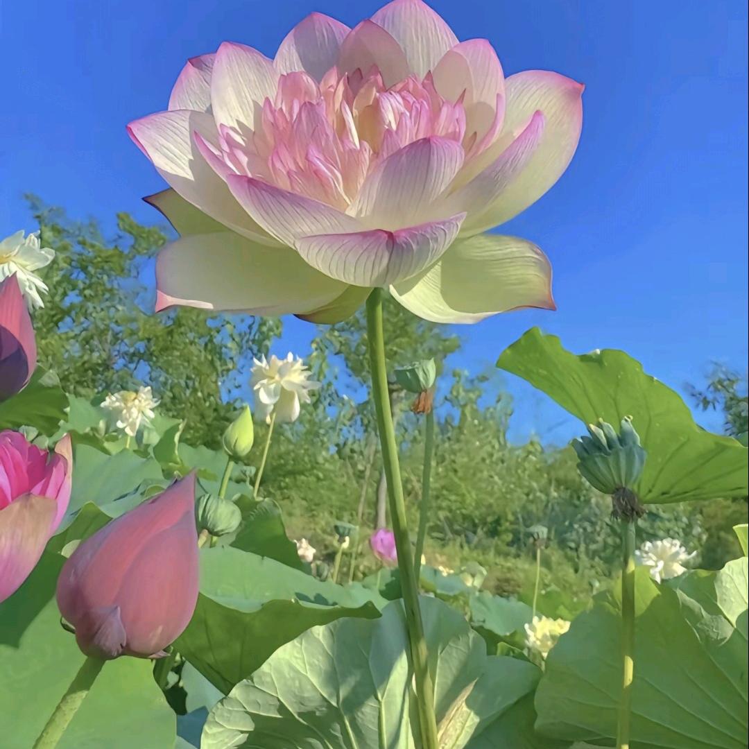 幸福之家