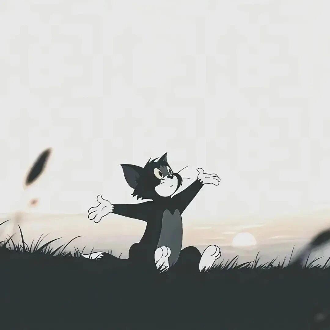 就盯着没脑子的骂