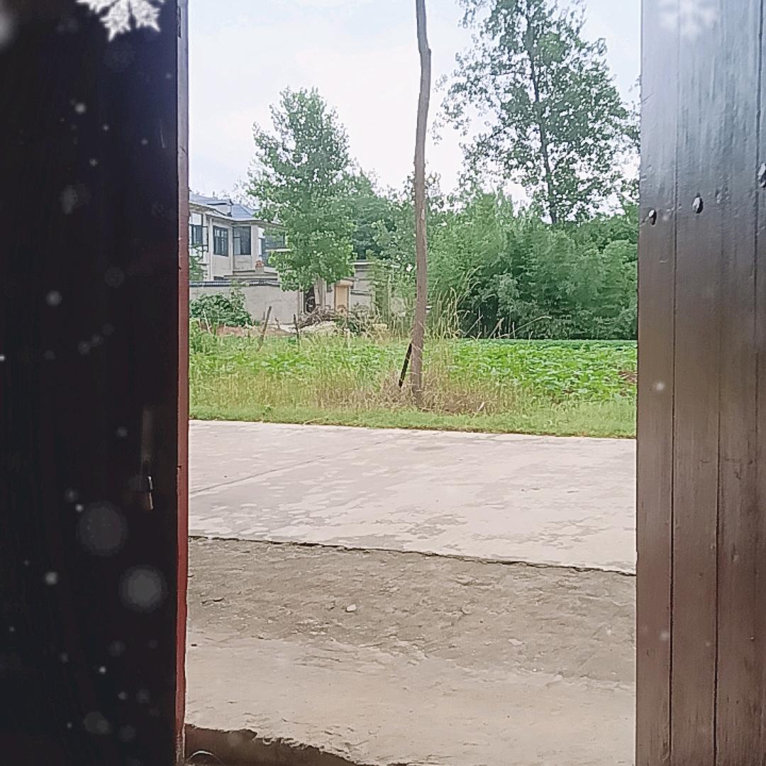 郑洼人欺负我