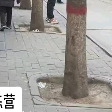 见字如面