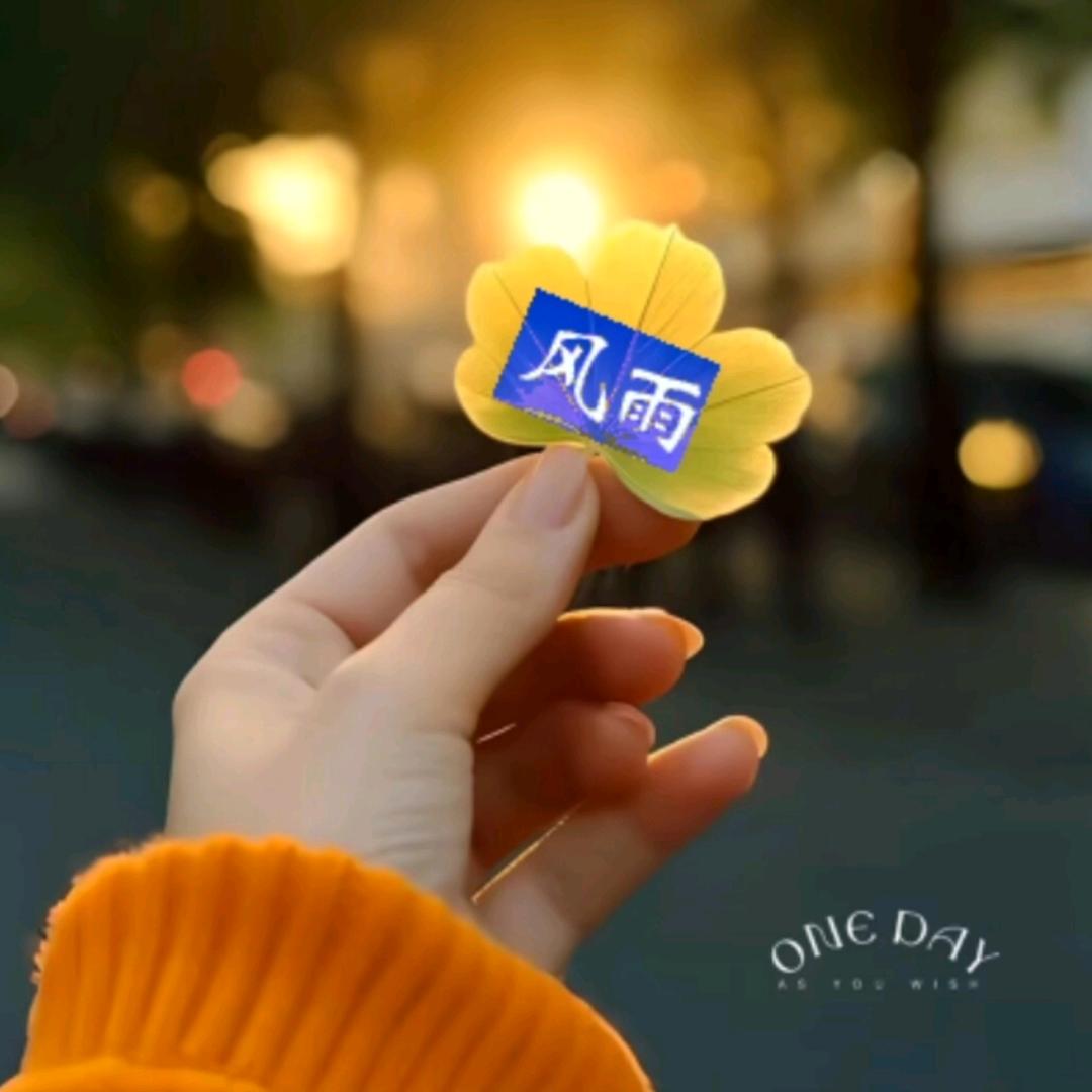 🌨小雨点🌨
