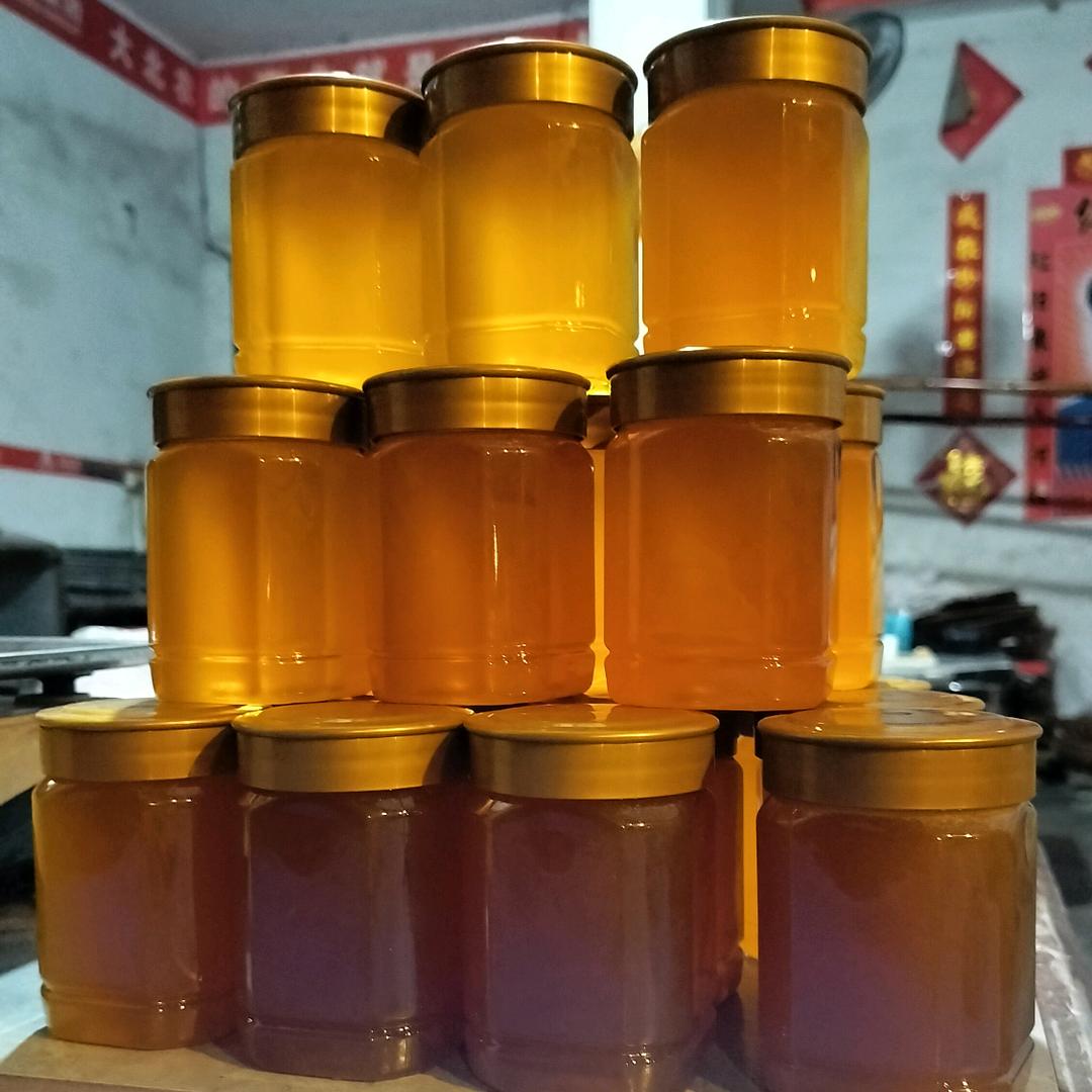 @追蜂🐝小杨哥