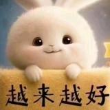 小马哥