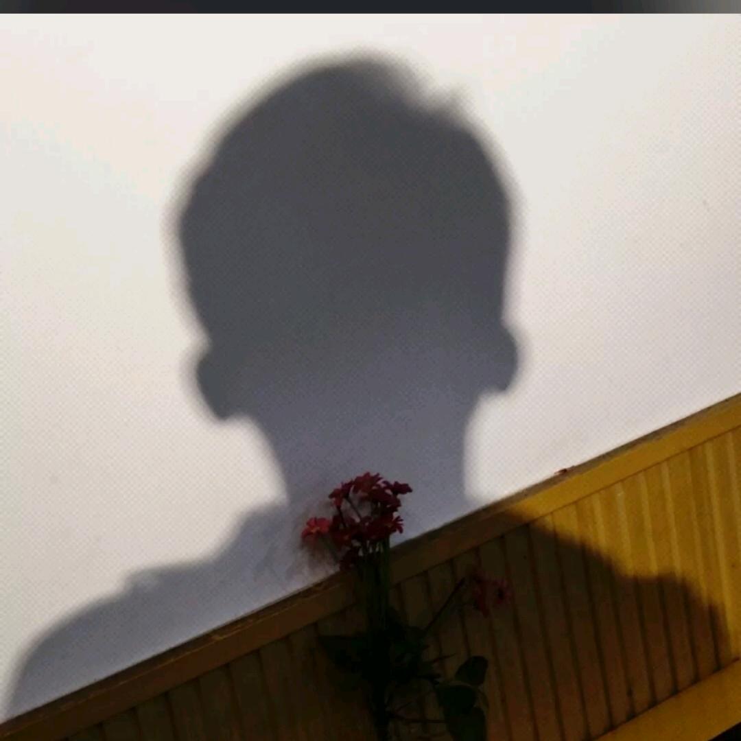 回家的少年