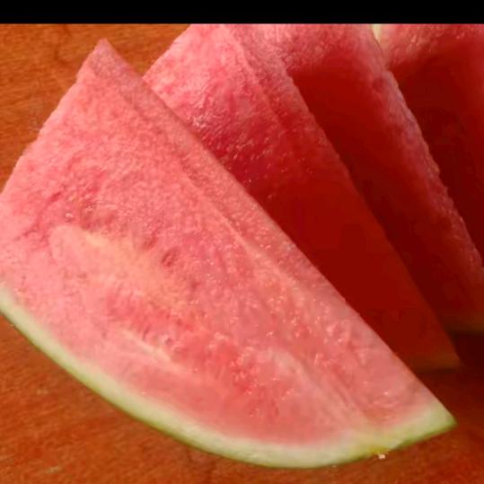 🍉打芽车车
