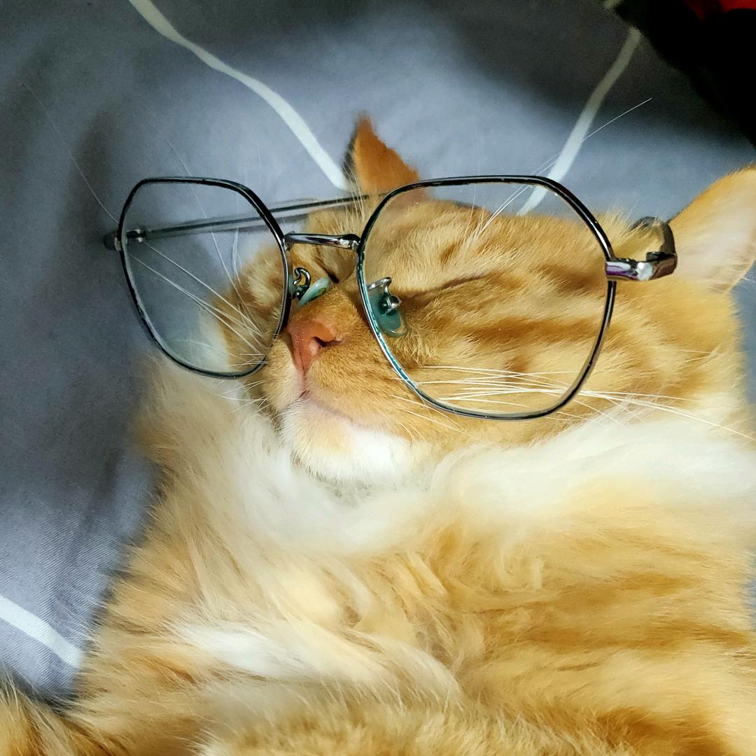 笛大笛~