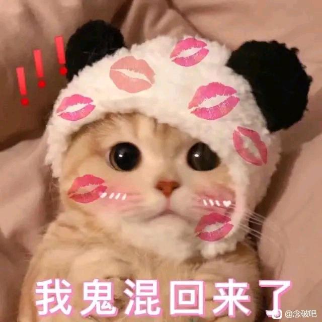 沏夏