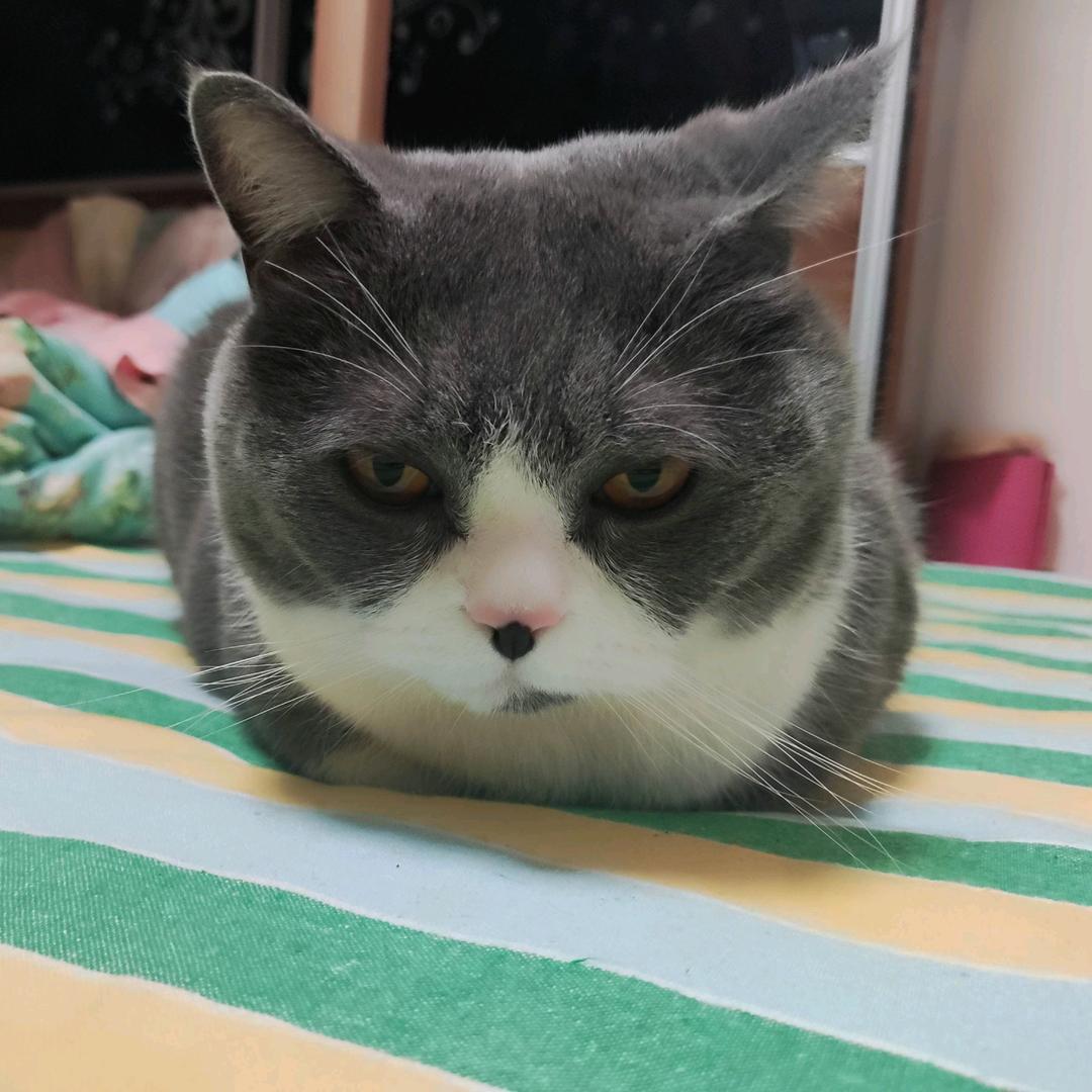 皇甫净阮